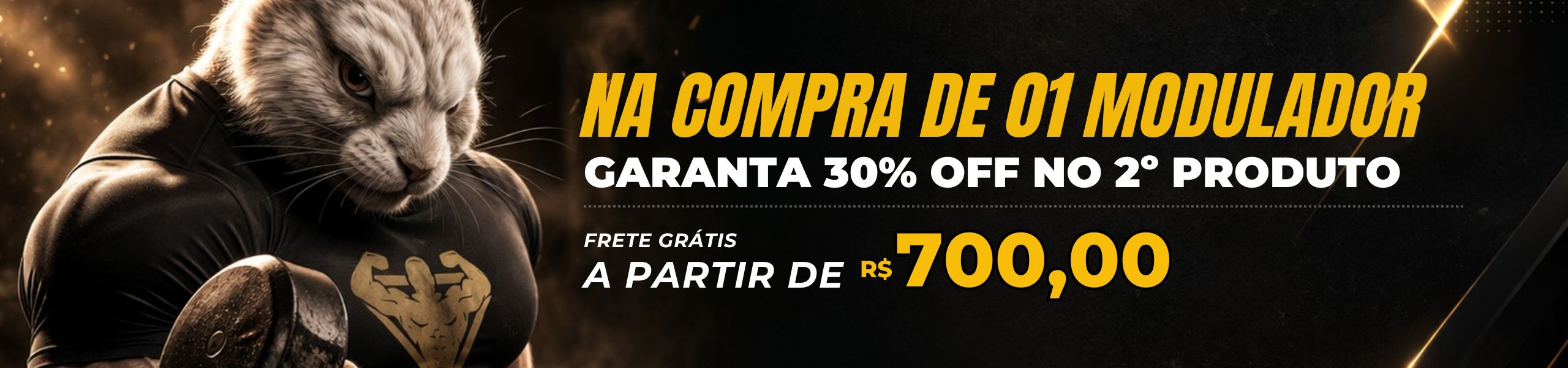 Na compra de 01 modulador garanta 30% OFF no 2o produto.